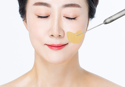 모델